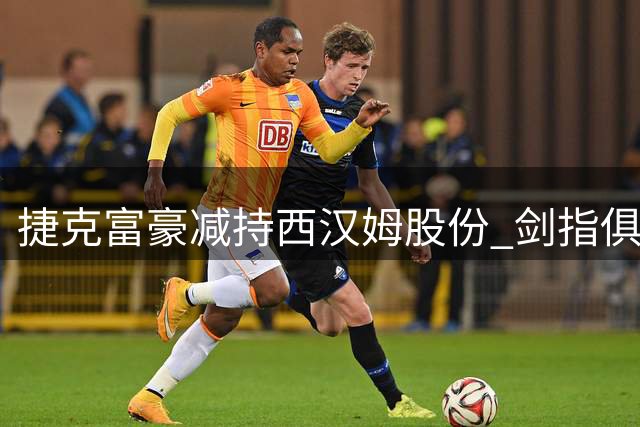 捷克富豪减持西汉姆股份 剑指俱乐部全面控股